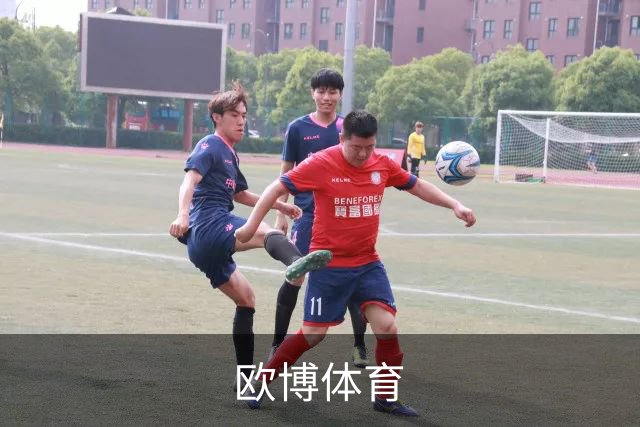 欧博体育 公司简介